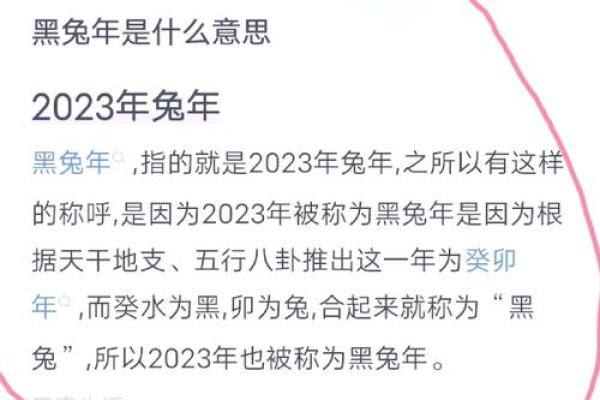 2023年是什么兔年五行属什么_2023年兔年五行属什么揭秘生肖与五行关系 2023年是什么兔年五行属什么_2023年兔年五行属什么揭秘生肖与五行关系