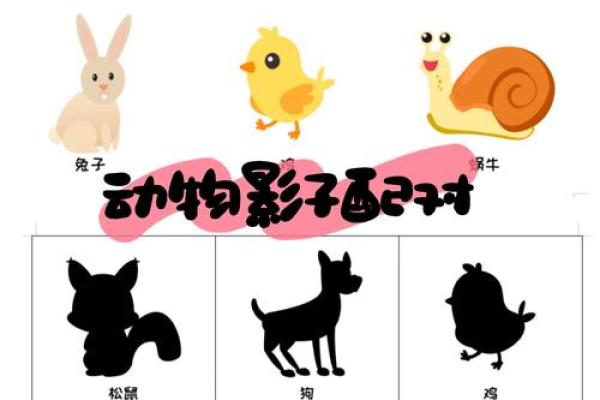 有影无踪是什么动物 有影无踪是什么动物