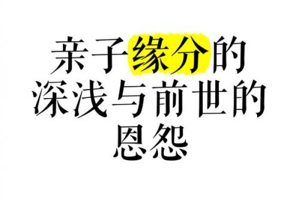 母亲与孩子的缘分_儿女与母亲的缘分