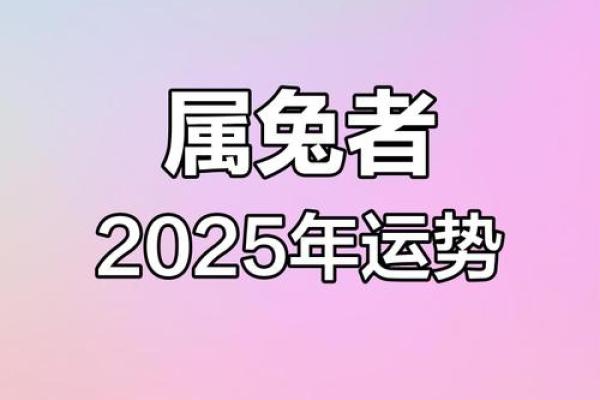 2025年兔的全年运势如何 2025年兔子 2025年兔的全年运势如何 2025年兔子
