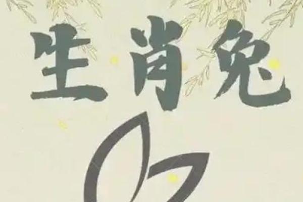 今年什么年2025年 兔年 2025年兔年运势解析今年什么年兔年大揭秘 今年什么年2025年 兔年 2025年兔年运势解析今年什么年兔年大揭秘