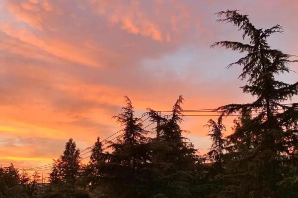 日落西山代表什么生肖(日落西山什么生肖) 日落西山代表什么生肖(日落西山什么生肖)