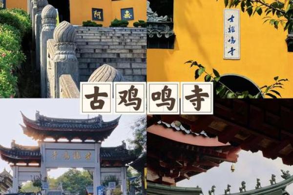 鸡鸣寺求姻缘在哪个殿_鸡鸣寺求姻缘在哪个殿拜 鸡鸣寺求姻缘在哪个殿_鸡鸣寺求姻缘在哪个殿拜