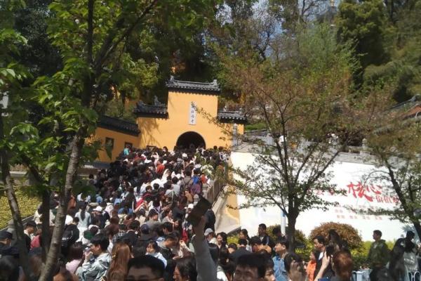 鸡鸣寺求姻缘在哪个殿_鸡鸣寺求姻缘在哪个殿拜 鸡鸣寺求姻缘在哪个殿_鸡鸣寺求姻缘在哪个殿拜