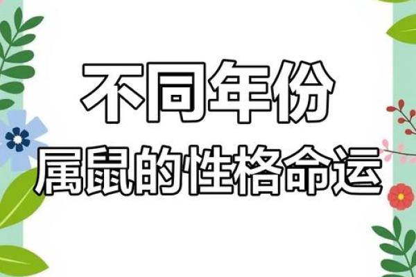 1996年属鼠今年的运势 1996年属鼠今年的运势