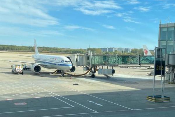 秋高气爽指什么生肖(秋高气爽指什么生肖动物)