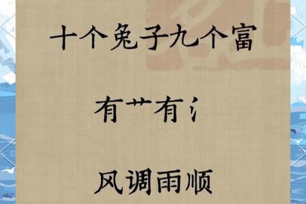 属兔2025虚岁多大 2025年属兔人虚岁多大详细解析年龄计算方法 属兔2025虚岁多大 2025年属兔人虚岁多大详细解析年龄计算方法