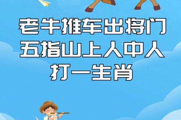 货比三家打一生肖