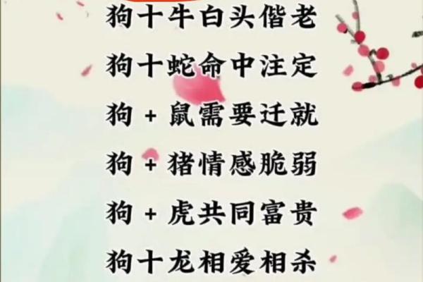 鸡男和狗女的属相能婚配吗_鸡男和狗女的属相能婚配吗 贴吧