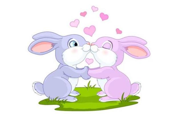 属兔的最佳婚配对象_1999年属兔最佳结婚对象 属兔的最佳婚配对象_1999年属兔最佳结婚对象