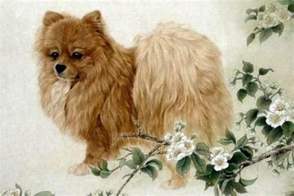 1970年属狗女2025年运势及运程_1970年属狗女2025年运势详解运程走向与关键转折点