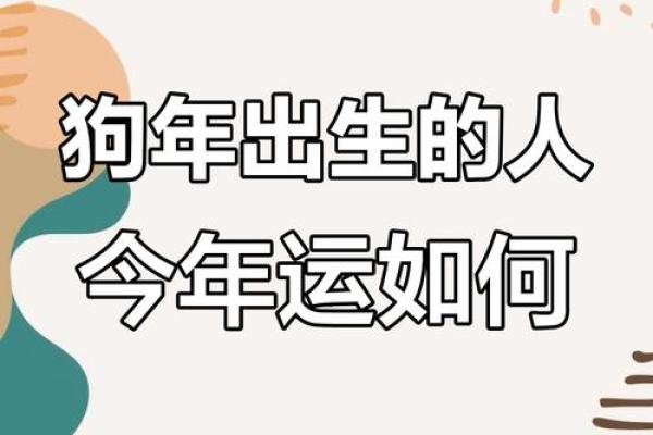 2025年属狗的好不好_2025年属狗运势解析好运连连还是挑战重重 2025年属狗的好不好_2025年属狗运势解析好运连连还是挑战重重