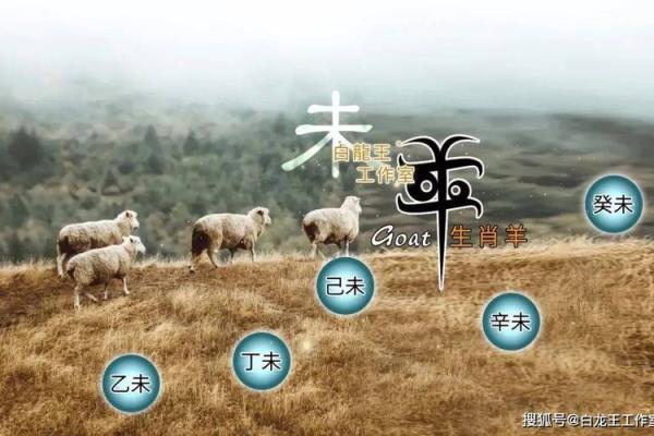 2025属羊人运势及运程 2025属羊人运势详解全年运程预测与提升指南 2025属羊人运势及运程 2025属羊人运势详解全年运程预测与提升指南