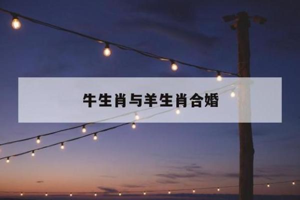 属牛和属羊的相配吗生肖配对解析与婚姻建议 属牛和属羊的相配吗生肖配对解析与婚姻建议