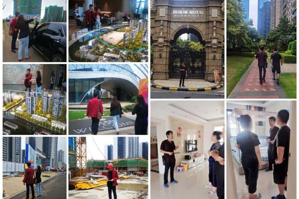 属鸡买房最佳楼层选择指南风水与实用兼顾 属鸡买房最佳楼层选择指南风水与实用兼顾