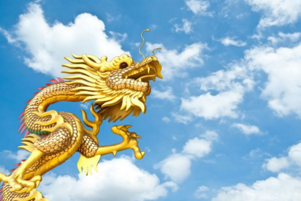 挺身而出打一生肖 挺身而出打一生肖