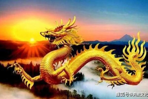 2025年属龙大忌颜色_属龙今年的幸运色是什么颜色 2025年属龙大忌颜色_属龙今年的幸运色是什么颜色