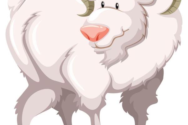 金屋藏娇是什么生肖动物(金屋藏娇是指什么生肖) 金屋藏娇是什么生肖动物(金屋藏娇是指什么生肖)