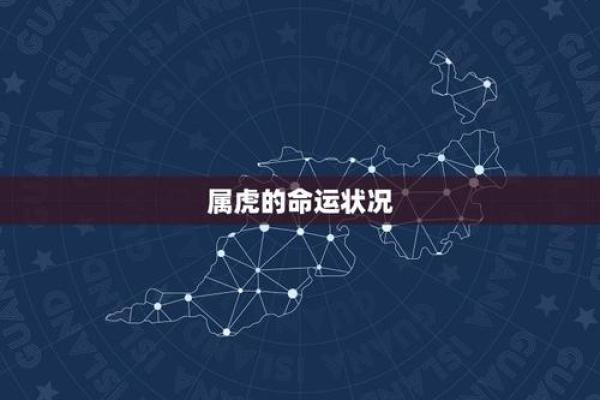 虎年生人是什么命 几月出生的属虎最好 虎年生人是什么命 几月出生的属虎最好