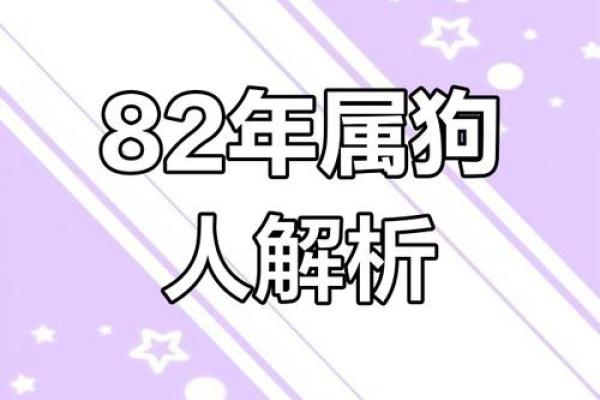 82年属狗男2025年婚姻运势解析与预测