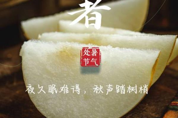 处暑节气吃什么养生 处暑节气吃什么养生