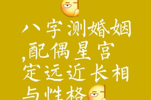 八字看夫妻星对照表_夫妻星速查表