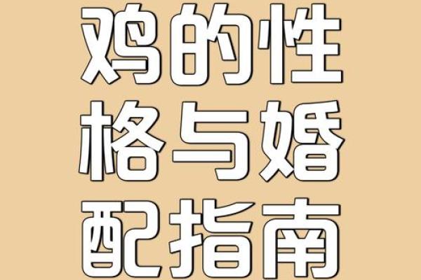属鸡的人和什么属相合作最好 属鸡的人和什么属相合作最好呢 属鸡的人和什么属相合作最好 属鸡的人和什么属相合作最好呢