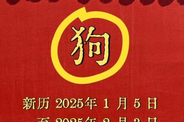2025年属狗的多大_2025年虚岁年龄表 2025年属狗的多大_2025年虚岁年龄表