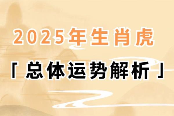 2023年是什么虎年是什么命 五行属什么