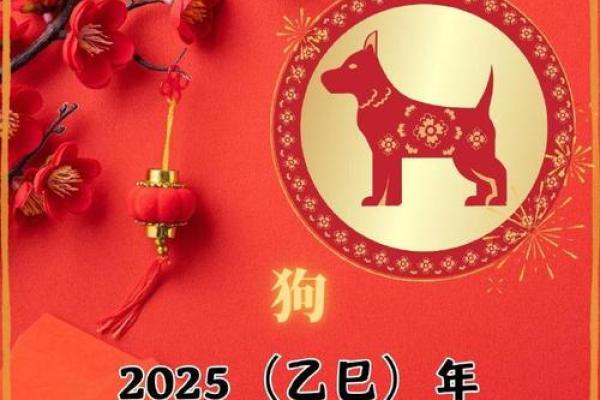 1982年属狗人2025年多大_2025生肖狗82双喜临门