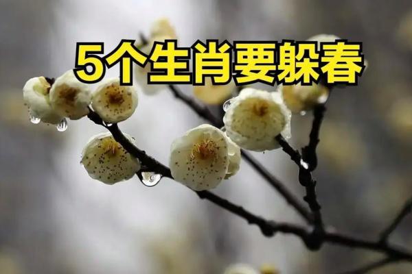 躲春2024具体时间什么属相躲 哪些人需要躲 躲春2024具体时间什么属相躲 哪些人需要躲