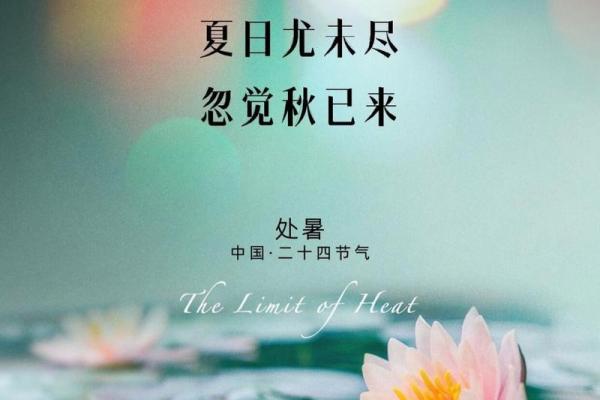 处暑是几月几日2024年