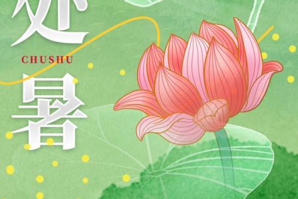 处暑是几月几日2024年