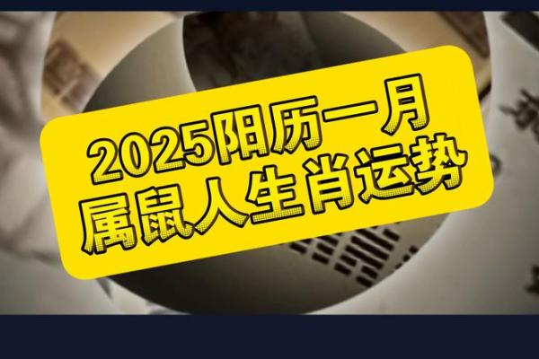 1996年属鼠男2025年的运势和婚姻 1996年属鼠男2025年的运势和婚姻