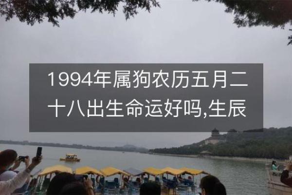 1994年的狗是什么命 五行属什么_1994年属狗五行属什么命运解析与运势预测 1994年的狗是什么命 五行属什么_1994年属狗五行属什么命运解析与运势预测