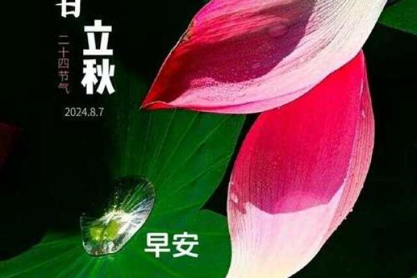 2024年立秋是几点几分几秒 2024年立秋是几点几分几秒