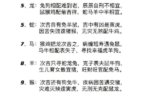 属猪男最佳婚配表揭秘最合适的生肖配对 属猪男最佳婚配表揭秘最合适的生肖配对