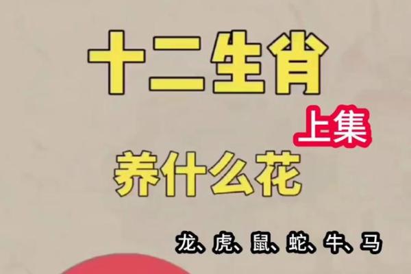 大败而逃是什么生肖(大败而逃是什么生肖动物) 大败而逃是什么生肖(大败而逃是什么生肖动物)