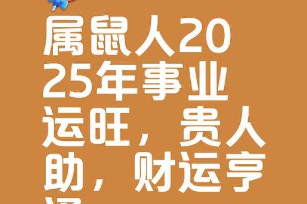 84年的男鼠2025年的运势及运程 84年的男鼠2025年的运势及运程