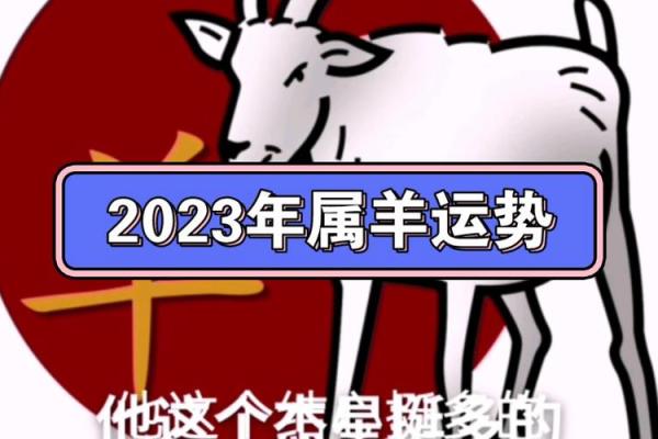 2003年属羊的今年多大 2003年属羊的今年多大2023年属羊人年龄详解 2003年属羊的今年多大 2003年属羊的今年多大2023年属羊人年龄详解