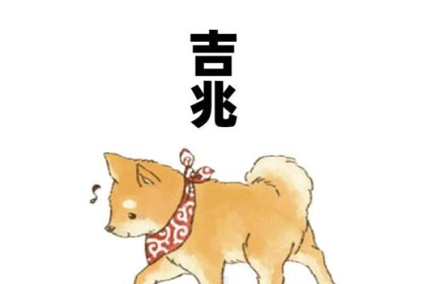 2025年谁最旺属狗人_2025年属狗人运势大爆发谁将助力最旺 2025年谁最旺属狗人_2025年属狗人运势大爆发谁将助力最旺