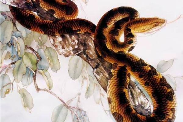 异想天开是什么生肖(异想天开是什么生肖确定一下) 异想天开是什么生肖(异想天开是什么生肖确定一下)