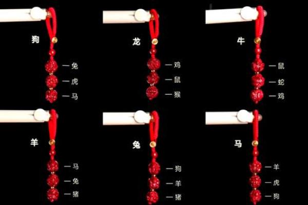 2024年龙生肖运势 2024龙年运势全解析生肖龙逐月运程指南