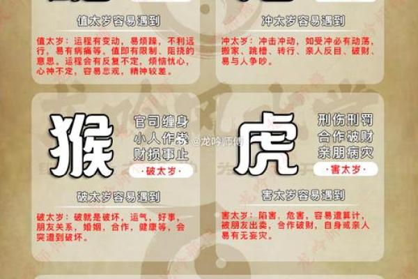 “龟鹤之年”打一个生肖动物,龟鹤之年打一生肖答案解释释义落实 “龟鹤之年”打一个生肖动物,龟鹤之年打一生肖答案解释释义落实