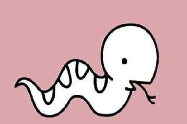 火上烧油是什么生肖