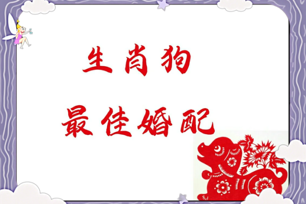 属狗跟属马的姻缘怎么样 属狗与属马姻缘解析配对指数与幸福秘诀 属狗跟属马的姻缘怎么样 属狗与属马姻缘解析配对指数与幸福秘诀