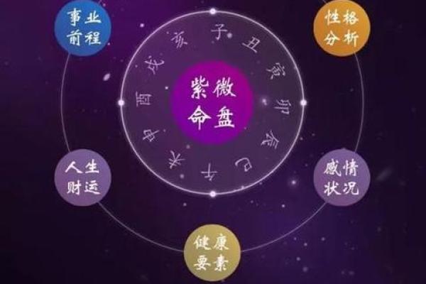 2025年4月14日子时女命紫微斗数全解盘