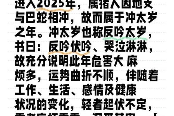 83年属猪2025年的运势 2025年属猪运势详解83年出生者如何把握机遇与挑战