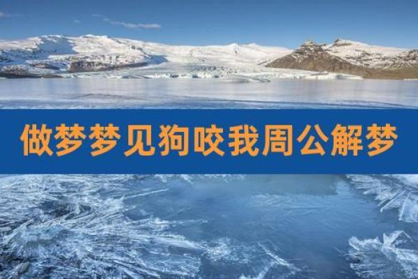 梦见狗要咬我但没咬着