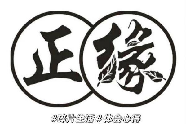 缘分使然是什么意思_缘分使然是成语吗 缘分使然是什么意思_缘分使然是成语吗